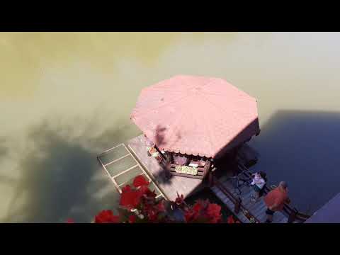 Pensiunea Lacul liniștit - Moneasa