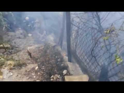 Ospedaletti, incendio vicino al campo sportivo