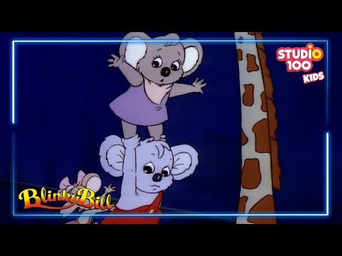 Ein Koala Zuviel - Blinky Bill🐼🍃 - Studio100 KIDS