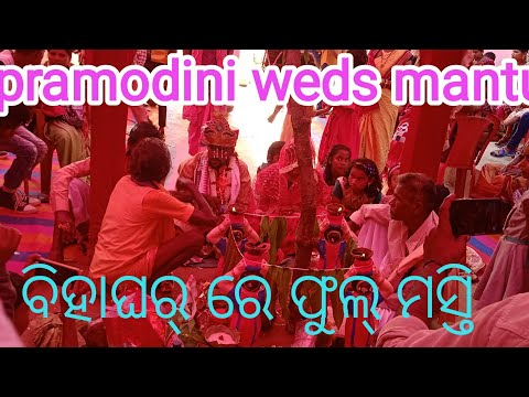 pramodini weds mantu // wedding vlogs // sambalpuri vlogs #mr subrat vlogs