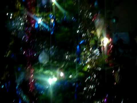 carasau bogdi alex 2010 craciun an nou