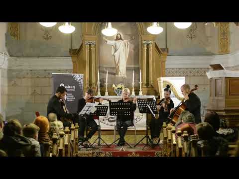 Eduardo Angulo - Die Vögel: 2. Sie warten... sie sind geier (Oskar Ereš, Memento string quartet)