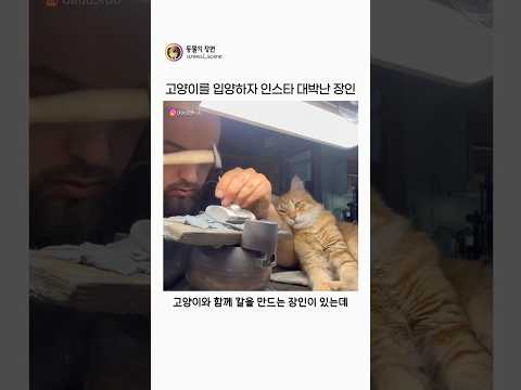 고양이 입양하자 인스타 대박난 장인