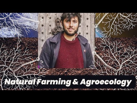 Joshua Sparkes - Natural Farming & Agroecology