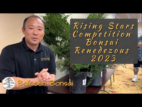 Rising Stars Competitors at GSBF Bonsai Rendezvous 2023 - Bonsai Exhibition - Baikoen Bonsai Club