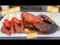 Do 15lb Lobsters Taste Bad Ft NickDiGiovanni