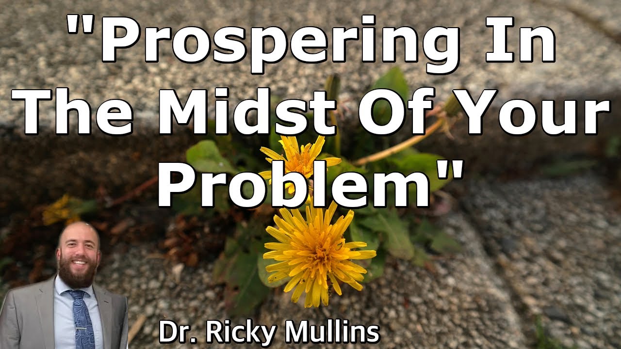Prospering In The Midst Of Your Problem
