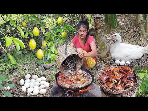Survival skills: Catch crab and Pick natural fruit for food in forest, Egg cooking with bamboo shoot