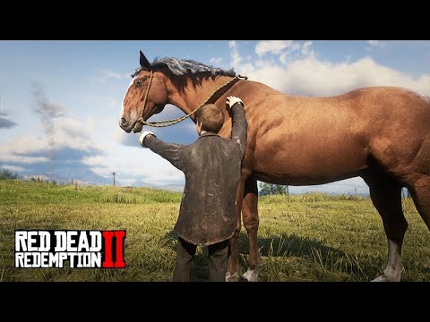 JACK DOMADOR DE CAVALOS - O pequeno Jack quer virar um COWBOY  -  A Fazenda de John Marston