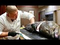 The BEST Of SUSHIBAE Teruzushi