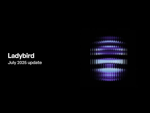 Ladybird browser update (July 2025)