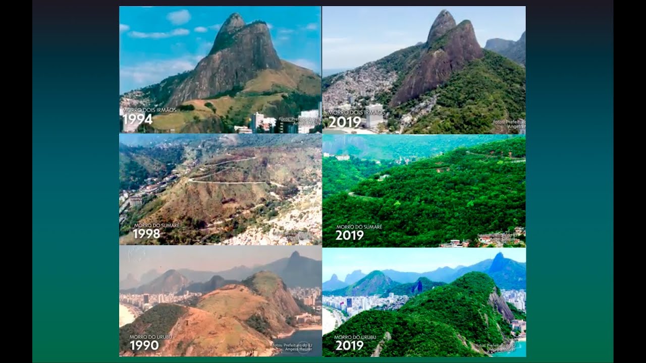 Reflorestamento Comunitário Rio de Janeiro 20 anos