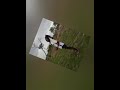 2026 NYANDA MASAYU DAMASI KALOLE BHACHAWI 0622271741