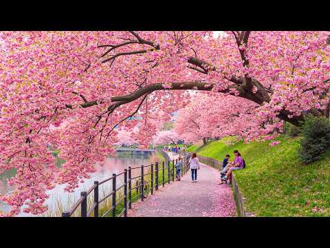 Relaxing Music That Heals Stress, Anxiety, and Depression Heals #1