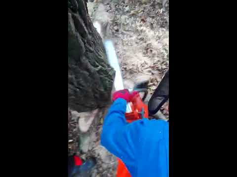 husqvarna rancher 460