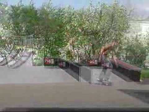 RUI MIGUEL ANDRADE ESTEVES SKATE