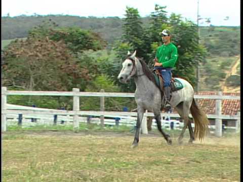 FURACÃO DA DONA JÓ