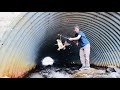 Video Thumbnail for snaring sucker fish in a BIG culvert