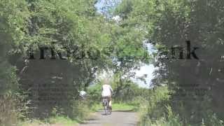 Wheatland Farm Devon