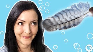 Why Are We Ticklish?