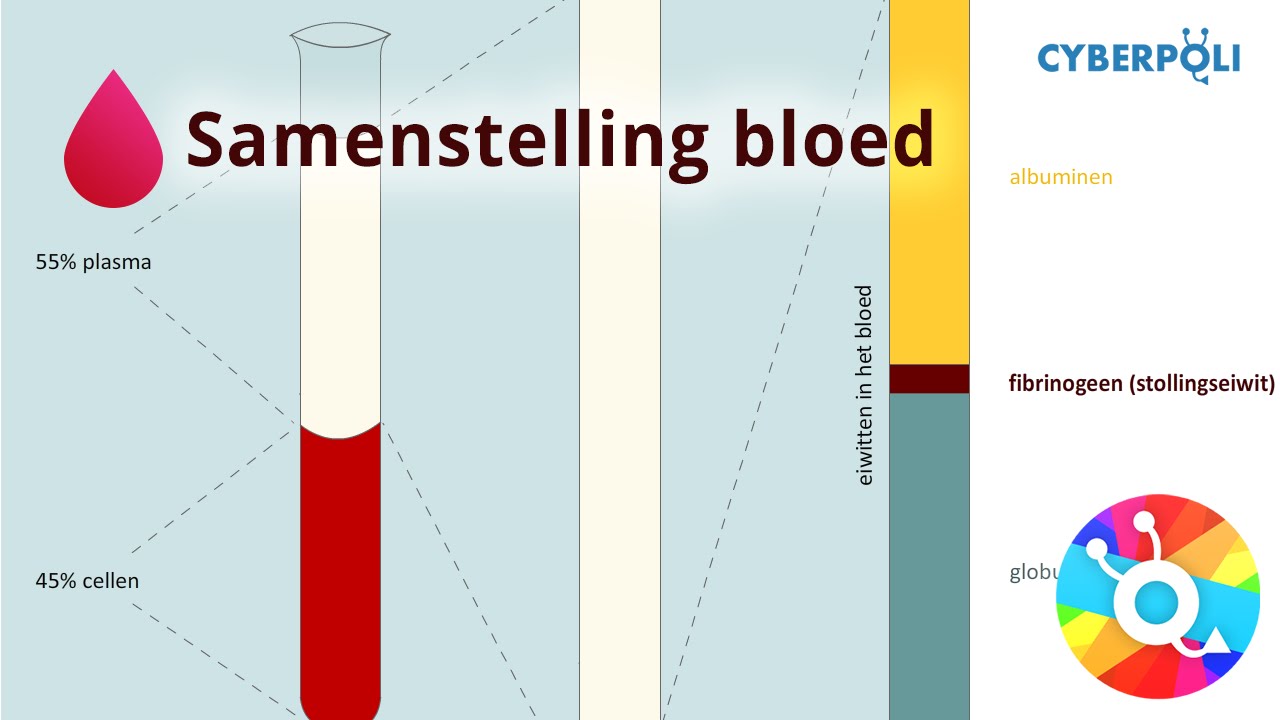 Sikkelcelziekte - Samenstelling bloed | Cyberpoli Sikkelcelziekte - Samenstelling Bloed | Cyberpoli