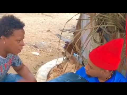 NO CREO ) El king Zupra El compañero RD (Video Miusy  Oficial)By Gatillero 23