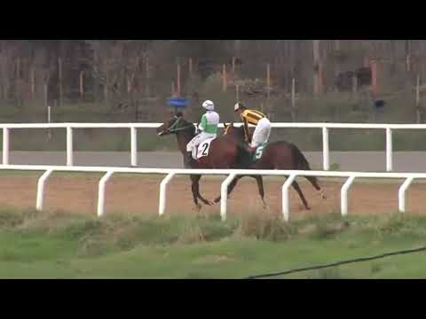 SINT MELO 230727 c04 - 1° MI TRAGO FUERTE