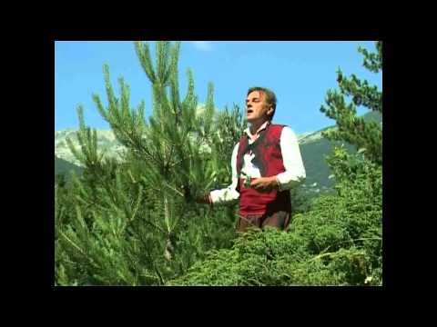 Гайтани-казъм сафие