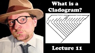 Lecture 11 What is a Cladogram