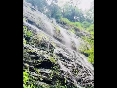 Beauty of Nature 🦋