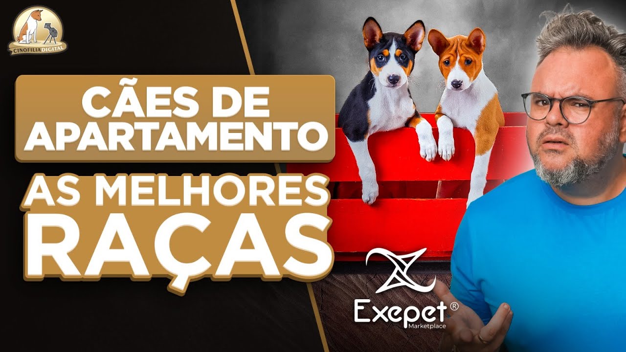 Cães de apartamento | Cinofilia Digital