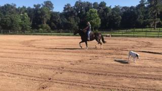 Big booty Judy August 2017