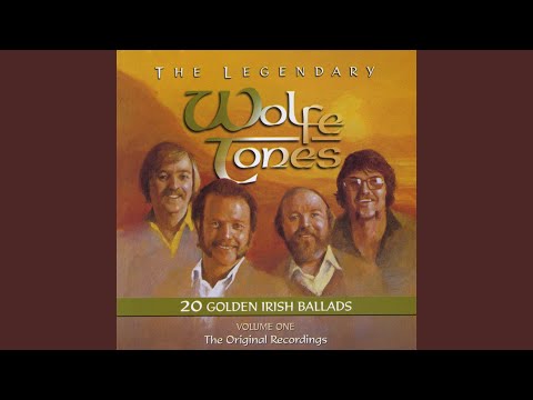 Follow Me Up To Carlow