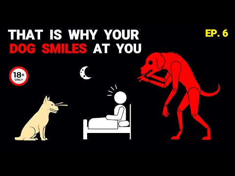 If Your Dog Starts Smiling At You… LOCK THE DOOR - Analog Horror