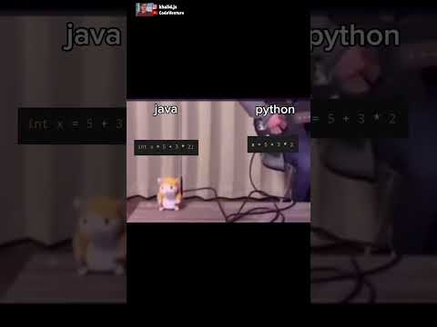 interpreted vs compiled language #coding #programming #javascript #python