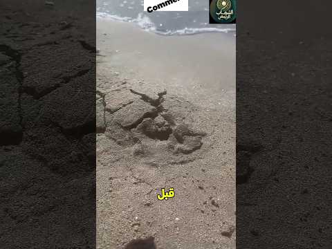 اللي طلع من الأرض.صدم كل الناس