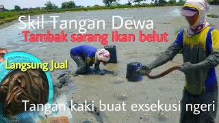Download lagu Master ❗Looking for eels left over from the pond harvest, making passersby amazed mp3