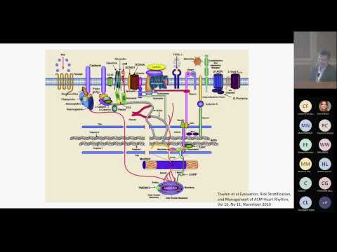 Arrhythmogenic Cardiomyopathy: Bench to Bedside and Beyond - Cardiology Rounds