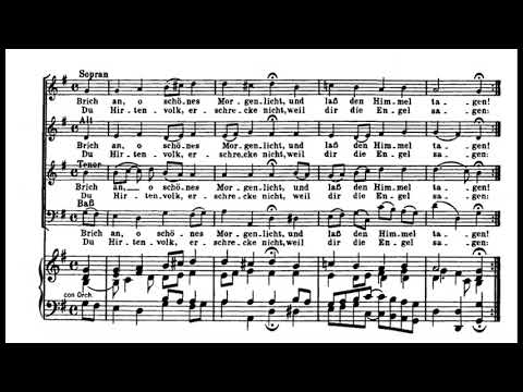 Bach: Christmas Oratorio II - 3. Brich an, o schönes Morgenlicht - Koopman