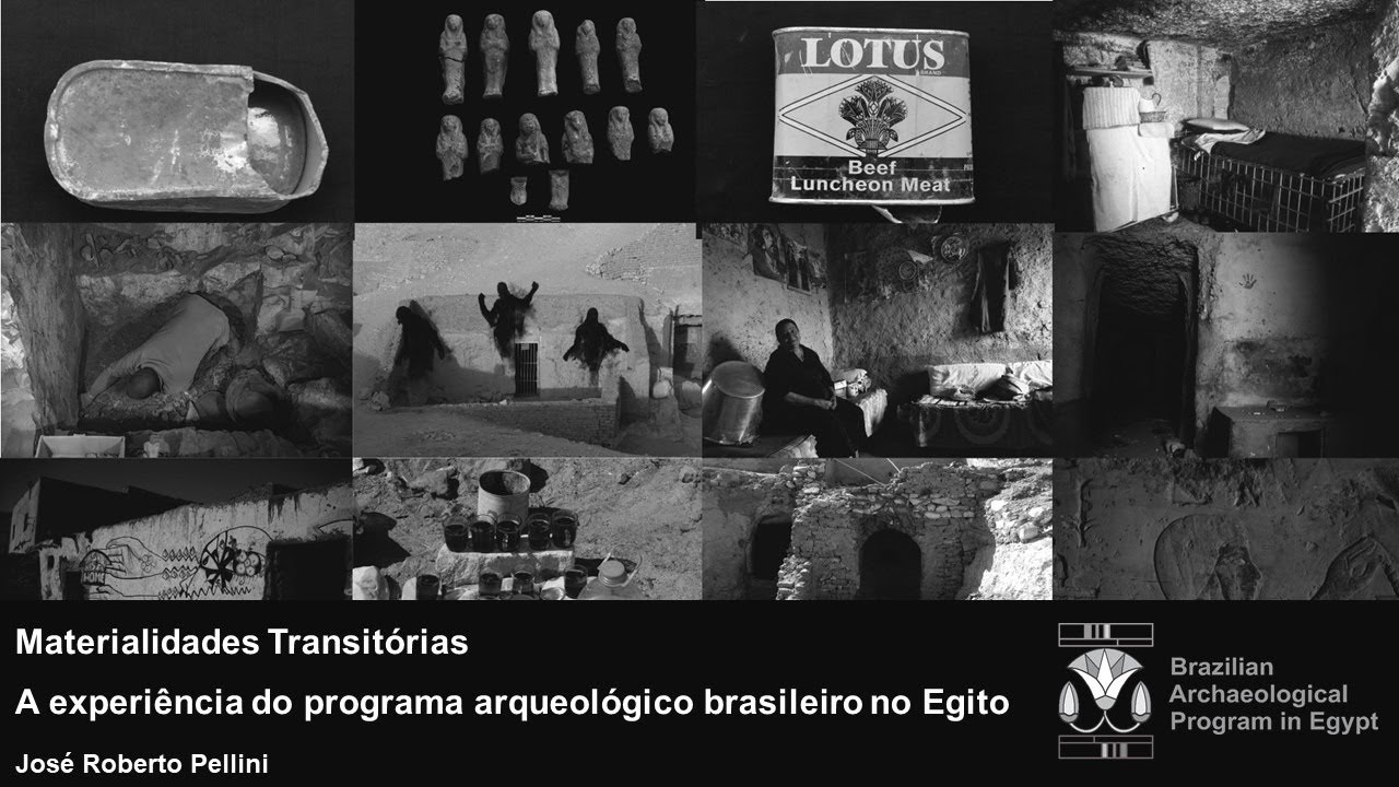Brazilian archaeologist discusses finds in Egypt - Vimarsana News