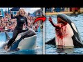 Die Schrecklichen Letzten Momente Der Orca Trainerin Savannah Calloway