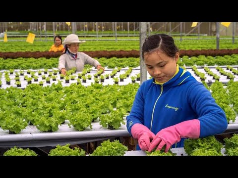 Bertani memerlukan modal dan disinilah kerajaan perlu bertindak