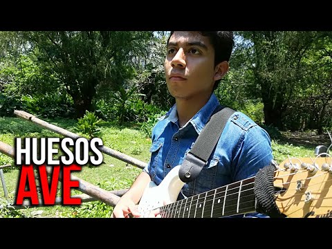 HUESOS - AVE (Cover) | Living Bones