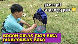 Download lagu HOW TO MAKE SOGON STILL FAST LIKE A JET‼️ mp3