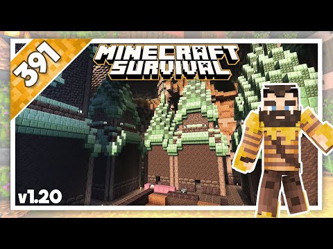 Minecraft Survival Longplay | Ep.391 - Building Buildings! | Relaxing Lofi Mix (No Commentary)
