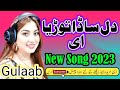 Gulaab | Dil Sada Toryae | Latest Punjabi Songs 2023 | Pakistani Punjabi Song 2023 | New Ali Studio