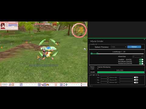 Infynia Flyff Free LevelBot