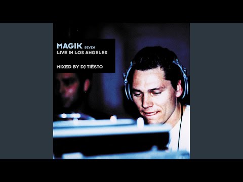 Flesh (DJ Tiësto Mix)