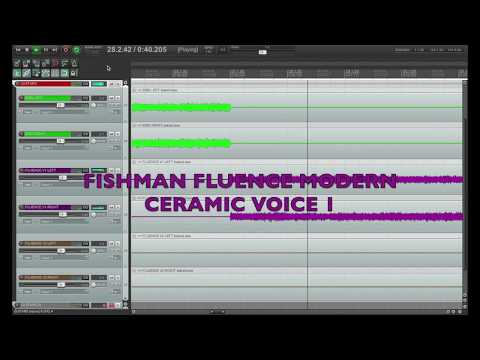 EMG 81 VS FISHMAN FLUENCE MODERN CERAMIC