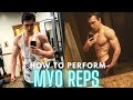 How To Perform Myo Reps - My FAVORITE Intensity Technique!